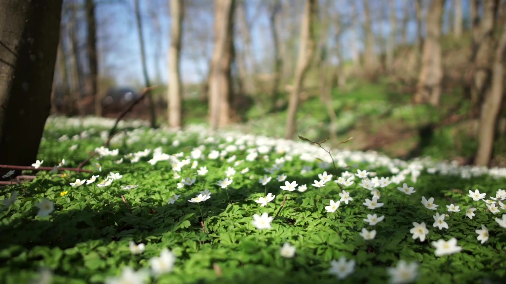 Julbild på snögubbe och familj som leker snöbollskrig